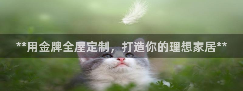 bb电子哪个平台好点