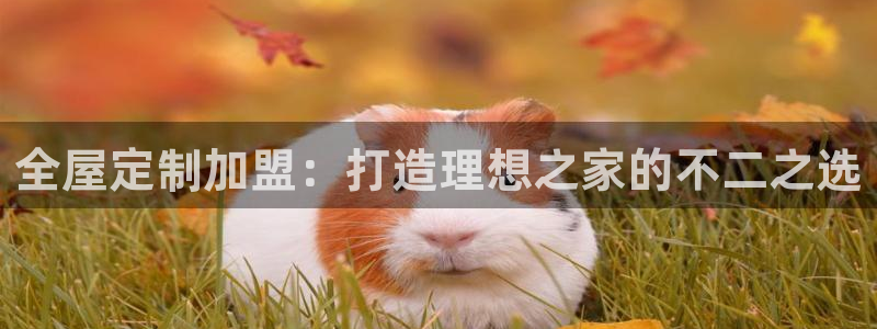 bb电子掉彩金