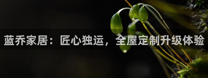 网上bb电子为什么那么假