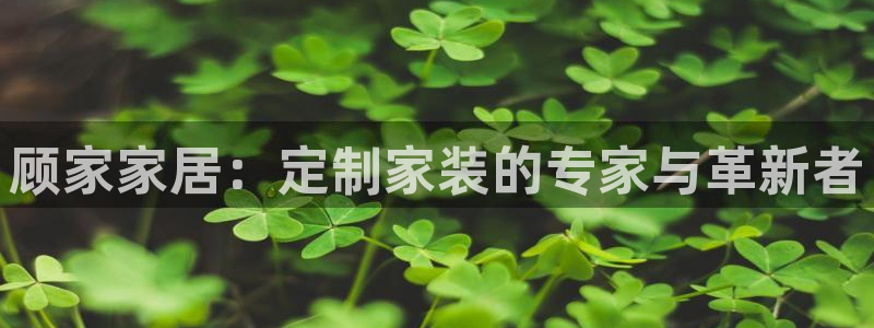 bb电子中了Major怎么算