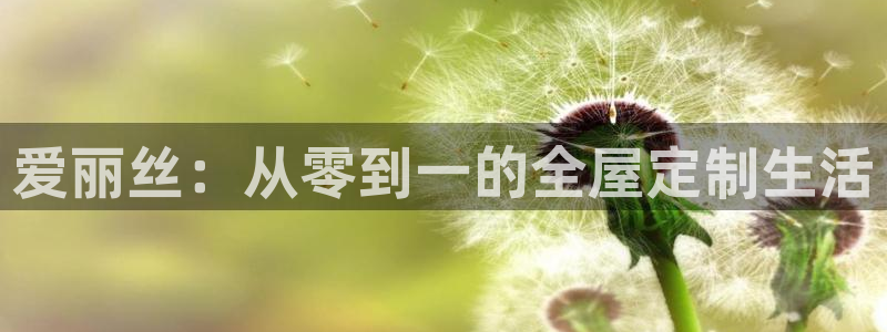 BB电子开户