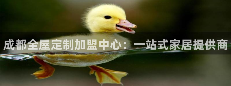bb电子怎么英语怎么说