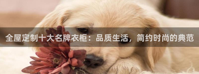 bb电子哪个平台好些