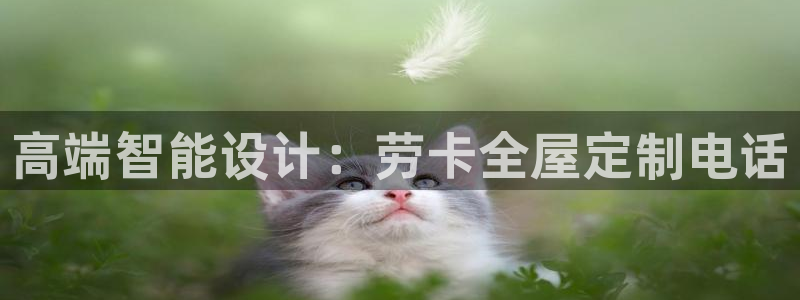 bb电子哪个平台好用一点