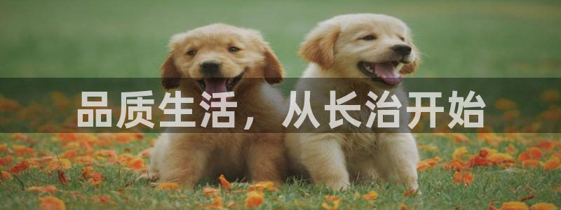 BB电子连环夺宝