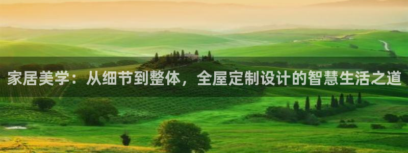 bb电子哪个平台好用点