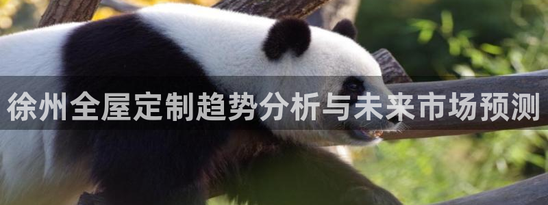 Bb电子琴和弦是哪个