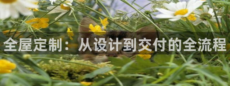 bb电子哪个平台好用一点