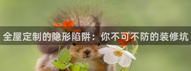 bb电子哪个平台好用一点