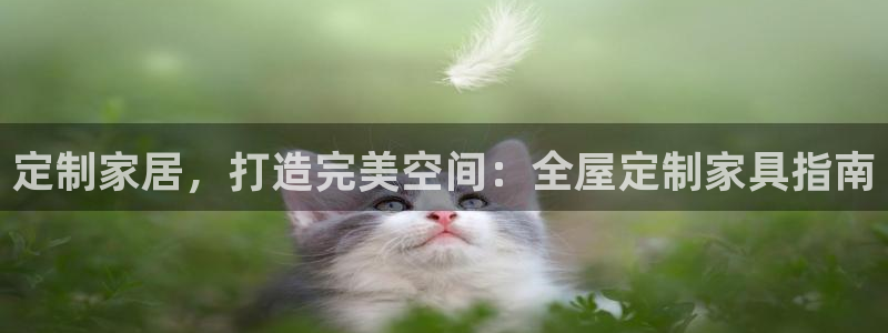 bb电子糖果彩球