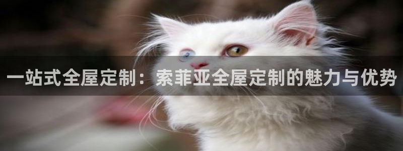 bb电子为什么总赢不了