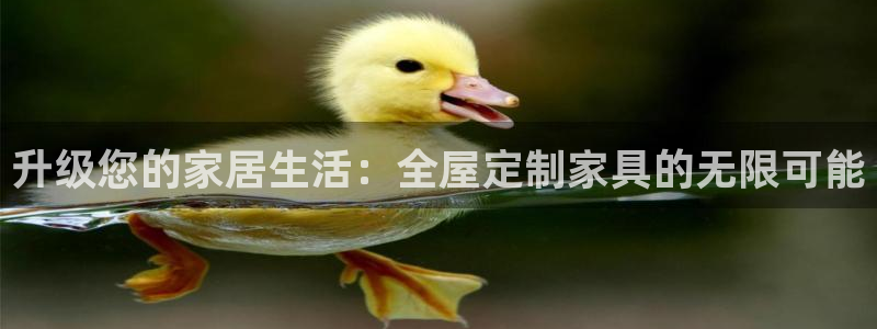 bb电子哪个平台好啊